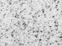 Granit & Co | Granit Betel White Canada | Marbrier Pau (64) Granit & Co | Granit Betel White Canada | Marbrier Pau (64)